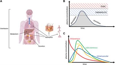 Acute brain injury and nanomedicine: sex as a biological variable